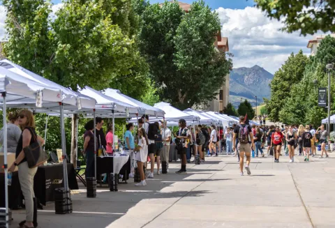 Sidewalk fair